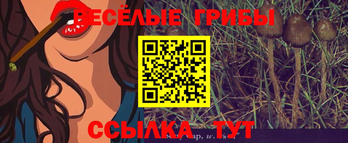 Алушта  Псилоцибиновые грибы мицелий  Вход с VPN 