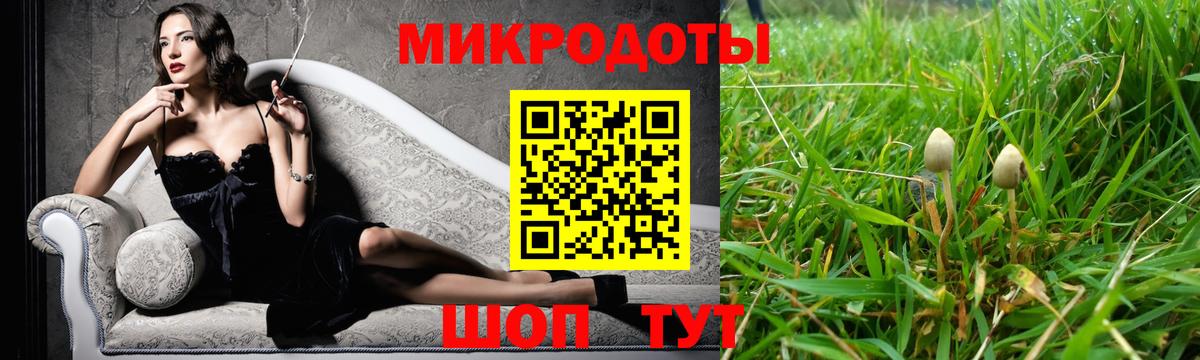 Галлюциногенные грибы Psilocybine cubensis Алушта